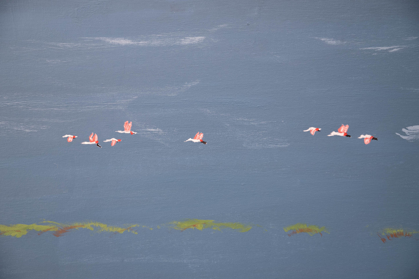 Spoonbills & Opportunities (original)